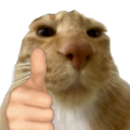 catgoodjob Discord emoji