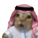 stopid_car Discord emoji