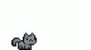Jumpycat