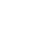 seventeen