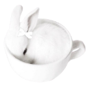:bunnyinamug:
