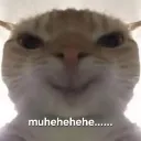 Evil_cat