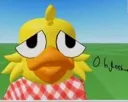 Duckie_Oh_Gosh