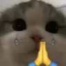 mafi_dedo
