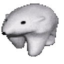 :teddy_in: