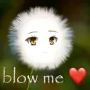 bro