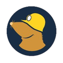 Mole wearing a yellow construction hard hat on a dark blue circular background.