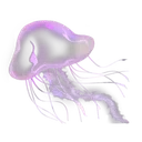 :jelly_tez: