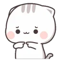 shy