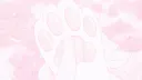 paws