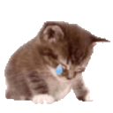 emoji_49 Discord Emoji | 𝐻𝒶𝓁𝒸𝓎𝑜𝓃𝓎