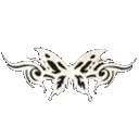 zwhitebutterfly