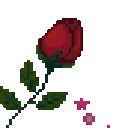 :redrose: