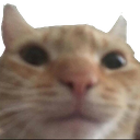 :stare: