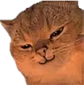 <:Smirk:1536247943848402974>