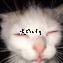 Gotosleepbum Discord emoji