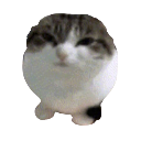 Ummintresting Discord emoji