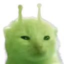 glorp