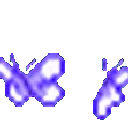 purple_dark_butterfly