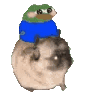 Pepe the Frog wearing a blue shirt dancing on top of a brown pug.