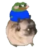 pepepugdance