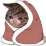 catcozysad