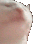 :CE_CatVibe3: