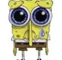 sadspengebob
