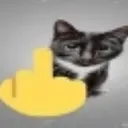 CatFukYou