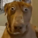 :__: