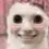 bro_this_is_the_most_stupid_smil