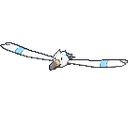 wingull