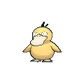 psyduck