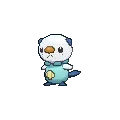 oshawott