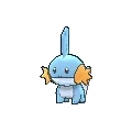 mudkip