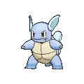 wartortle