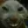 cat_smile