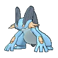 swampert
