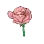 pinkrose
