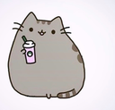 :cat: