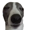 blue_glare Discord emoji