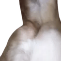 hettyneck2 Discord emoji