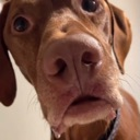 :huh: