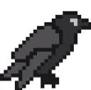 crow