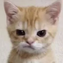 badmosinahimittar