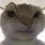 wach_u_say Discord emoji