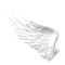 :wing1: