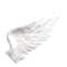 :wing2: