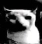 A_cat_dark Discord Emoji from eCafe 🌸 |  Indian Discord Server・Hangout・Guild Tag ・ Chilling・Voice Chat・Gaming ・India