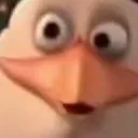 Whatsgoingonhere